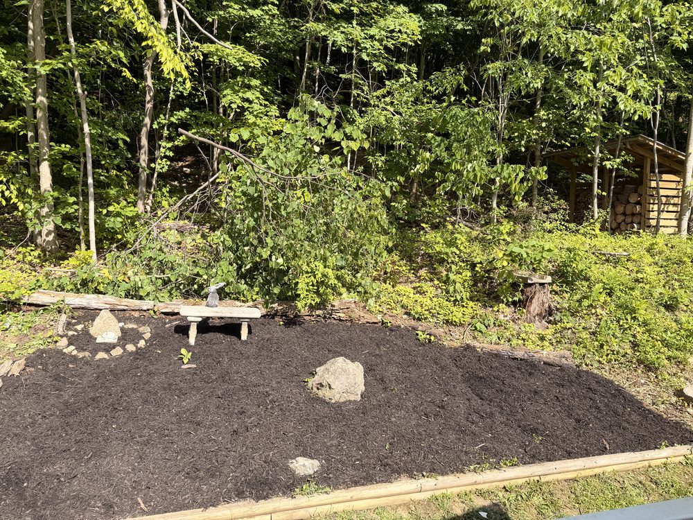 The same garden bed after cleanup and fresh mulch installation by Magnolia Gardens Landscaping